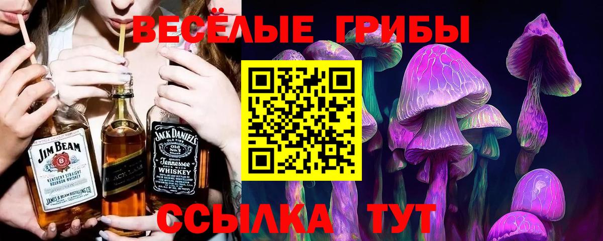 Галлюциногенные грибы MAGIC MUSHROOMS Заволжье