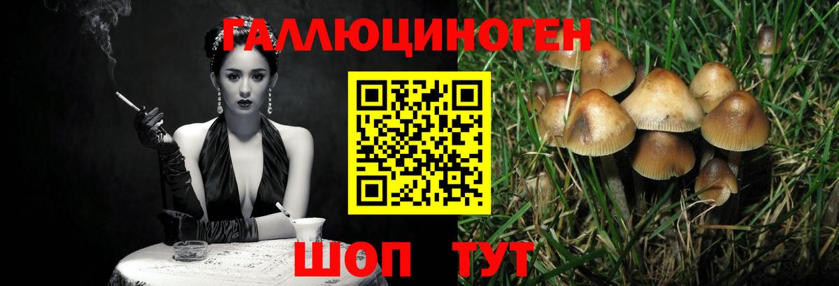 Заволжье  Галлюциногенные грибы мухоморы  Вход с VPN 